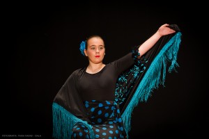 Flamenco_madrid