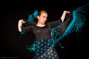 Flamenco_madrid