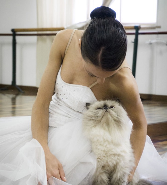 Los gatos y la danza oriental: 5 cosas que nos unen